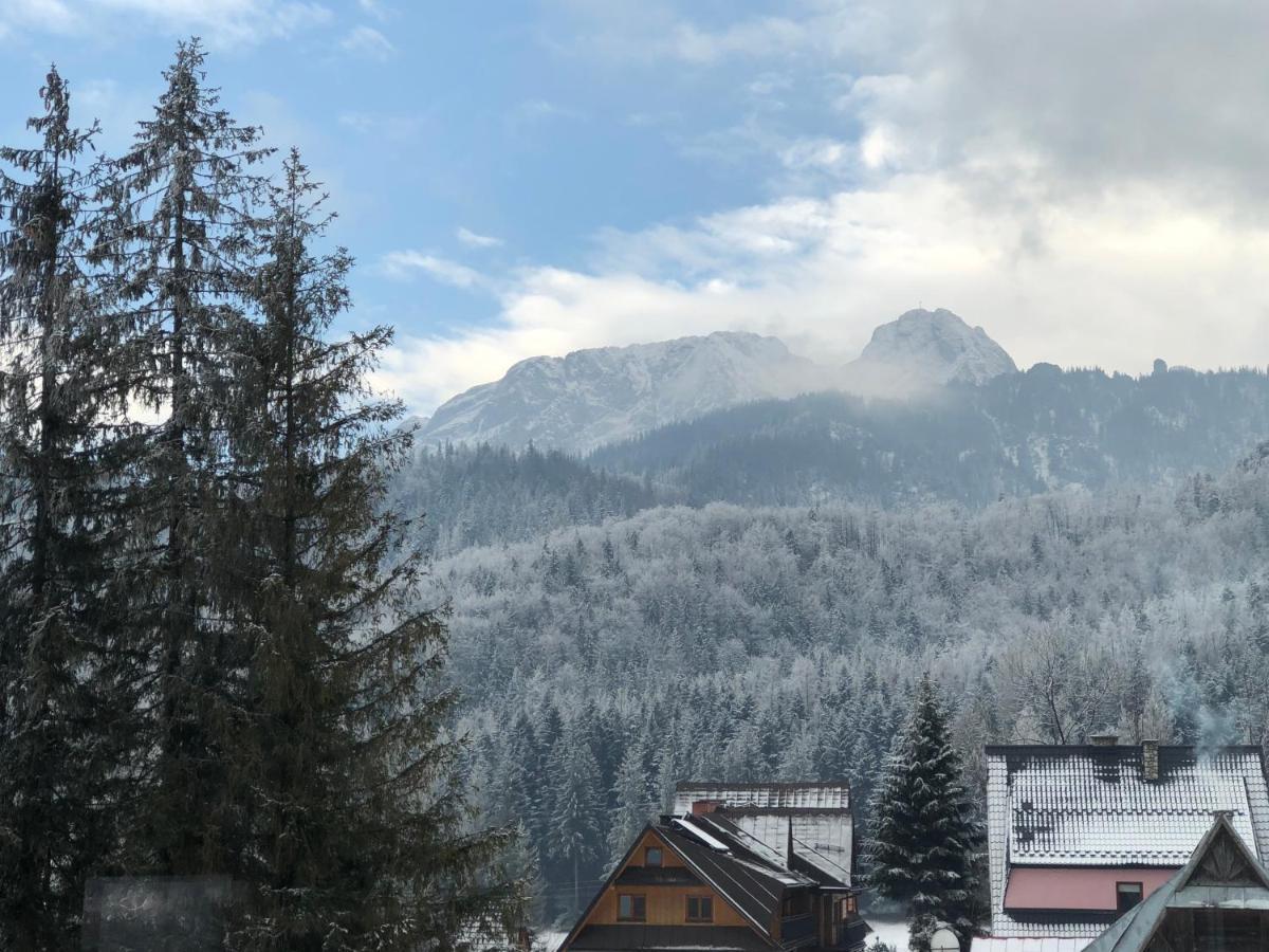 100 M2 Apartment - Nabucco With 270 Degree Mountain View, 65 Oled Tv, Netflix, Ps5 Console Zakopane Kültér fotó