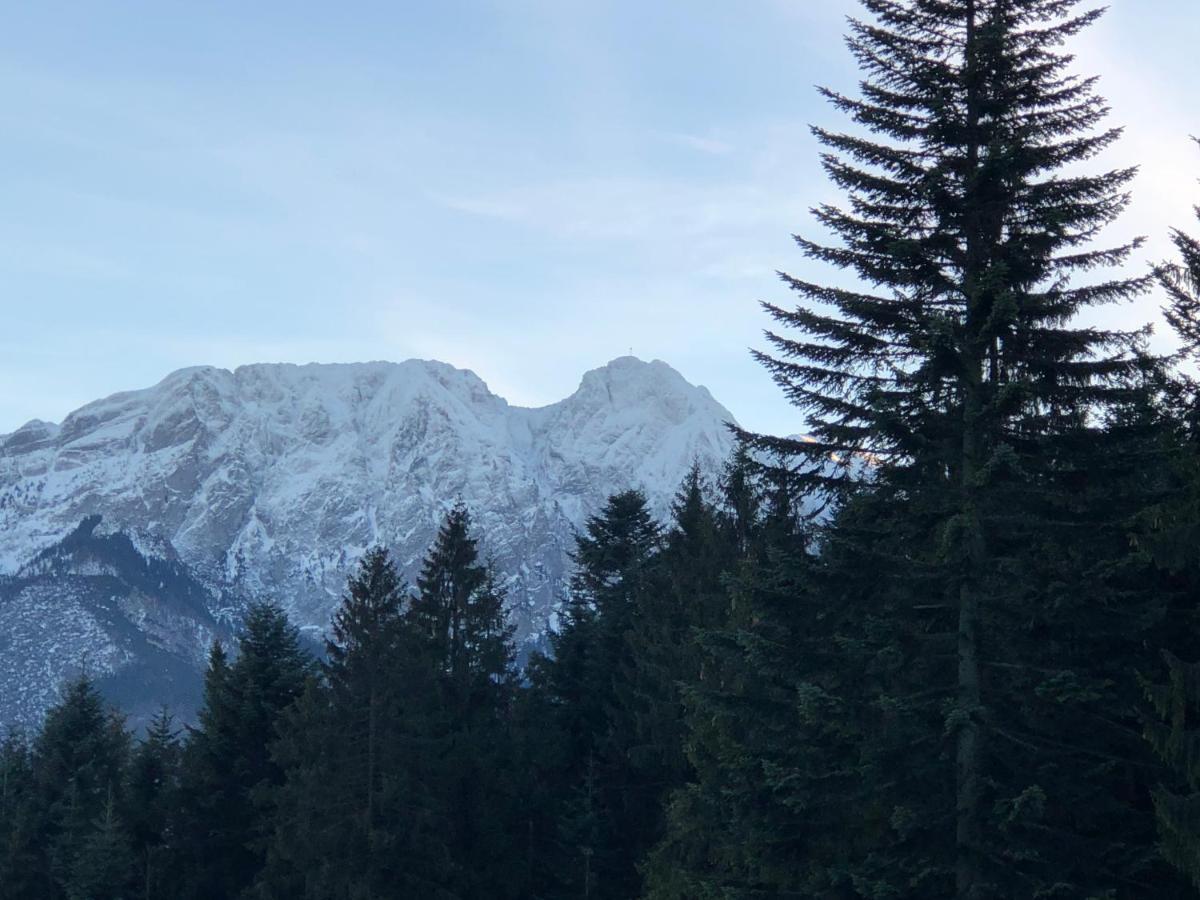 100 M2 Apartment - Nabucco With 270 Degree Mountain View, 65 Oled Tv, Netflix, Ps5 Console Zakopane Kültér fotó