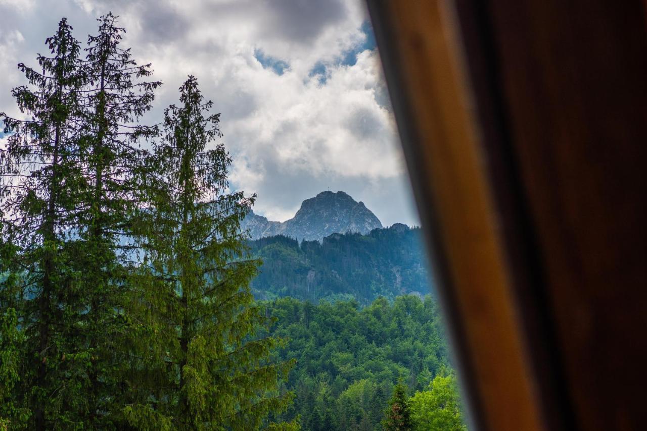 100 M2 Apartment - Nabucco With 270 Degree Mountain View, 65 Oled Tv, Netflix, Ps5 Console Zakopane Kültér fotó